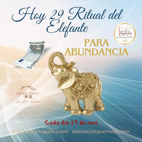 💵🐘Ritual del Elefante para la Abundancia 🐘