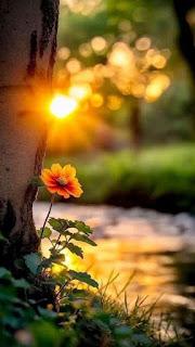 6.370 - ALGUNAS VECES... 6.370 - ALGUNAS VECES...