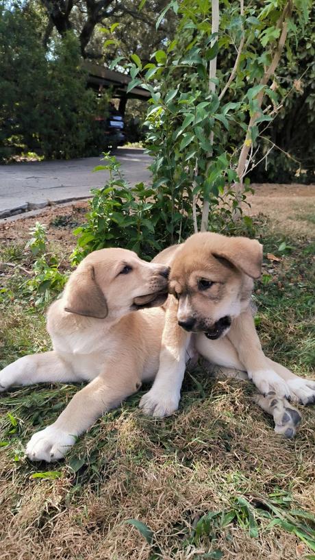 Tormentas de Octubre
