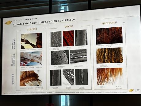 los efectos del sol en el pelo estudio Dove daño solar rayos uv pelo protección capilar cabello saludable cuidado del pelo brillo y fuerza, tratamiento reparador pelo dañado por el sol.