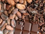 Chocolate bajo lupa; salud, mitos opiniones expertas