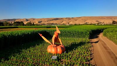 Dinosaurios y calabazas en Spina Farms Pumpkin Patch Dinosaurios y calabazas en Spina Farms Pumpkin Patch