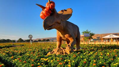 Dinosaurios y calabazas en Spina Farms Pumpkin Patch Dinosaurios y calabazas en Spina Farms Pumpkin Patch