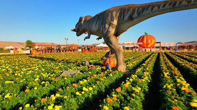 Dinosaurios y calabazas en Spina Farms Pumpkin Patch Dinosaurios y calabazas en Spina Farms Pumpkin Patch