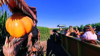 Dinosaurios y calabazas en Spina Farms Pumpkin Patch Dinosaurios y calabazas en Spina Farms Pumpkin Patch