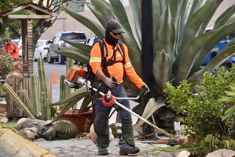 Con el programa Capital al 100 se mejoran espacios públicos en distintos puntos de la ciudad Con el programa Capital al 100 se mejoran espacios públicos en distintos puntos de la ciudad