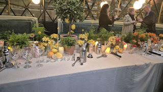 Santiveri la revolución prebiótica