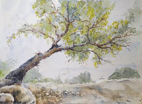 Octubre 2025. Dibujos y acuarelas