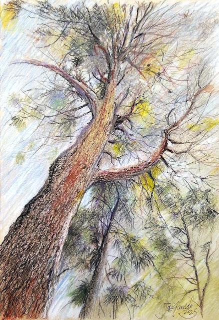 Octubre 2025. Dibujos y acuarelas