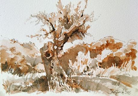 Octubre 2025. Dibujos y acuarelas