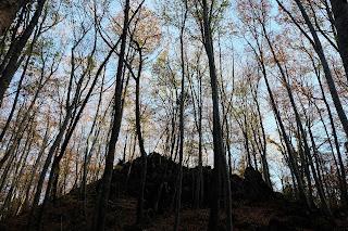 Ruta circular por los Volcanes de Olot Ruta circular por los Volcanes de Olot