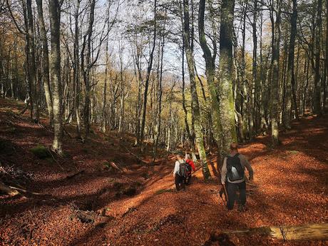 Pico Vildeu desde Pigüeces Pico Vildeu desde Pigüeces