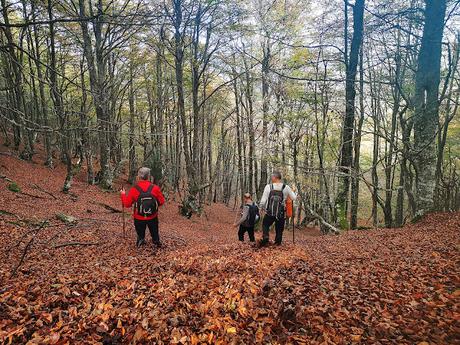 Pico Vildeu desde Pigüeces Pico Vildeu desde Pigüeces