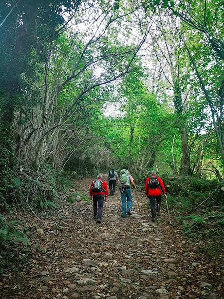Pico Vildeu desde Pigüeces Pico Vildeu desde Pigüeces