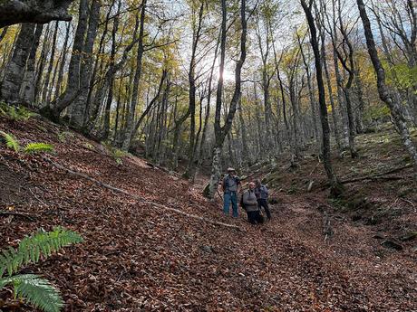 Pico Vildeu desde Pigüeces Pico Vildeu desde Pigüeces