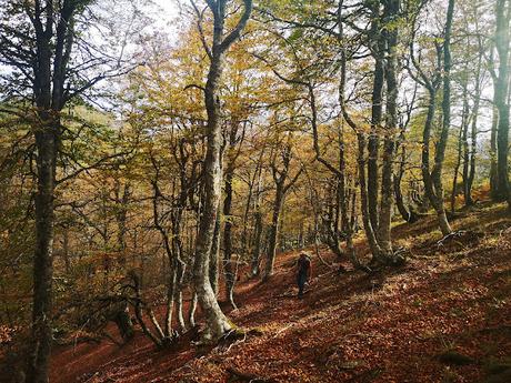 Pico Vildeu desde Pigüeces Pico Vildeu desde Pigüeces