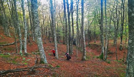 Pico Vildeu desde Pigüeces Pico Vildeu desde Pigüeces