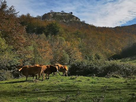 Pico Vildeu desde Pigüeces Pico Vildeu desde Pigüeces