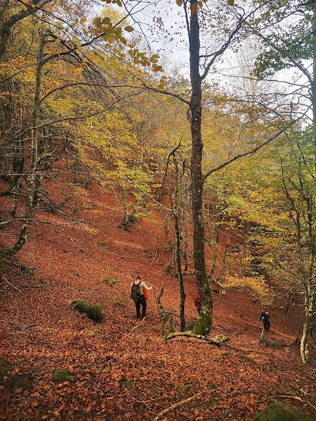 Pico Vildeu desde Pigüeces Pico Vildeu desde Pigüeces