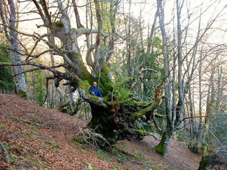 Pico Vildeu desde Pigüeces Pico Vildeu desde Pigüeces