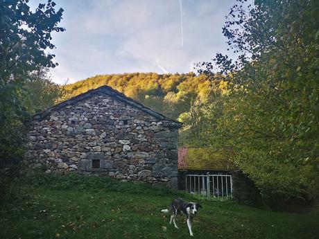 Pico Vildeu desde Pigüeces Pico Vildeu desde Pigüeces