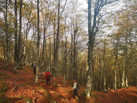 Pico Vildeu desde Pigüeces Pico Vildeu desde Pigüeces