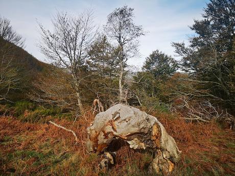 Pico Vildeu desde Pigüeces Pico Vildeu desde Pigüeces