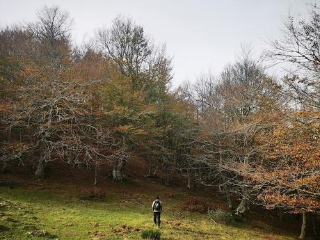 Pico Vildeu desde Pigüeces Pico Vildeu desde Pigüeces