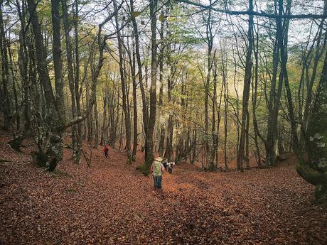 Pico Vildeu desde Pigüeces Pico Vildeu desde Pigüeces