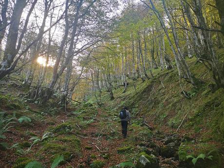 Pico Vildeu desde Pigüeces Pico Vildeu desde Pigüeces