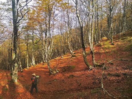 Pico Vildeu desde Pigüeces Pico Vildeu desde Pigüeces