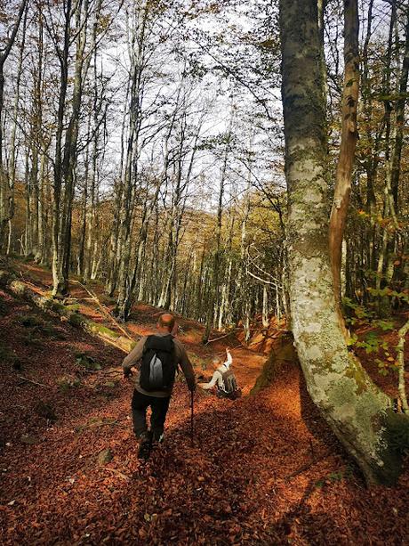 Pico Vildeu desde Pigüeces Pico Vildeu desde Pigüeces