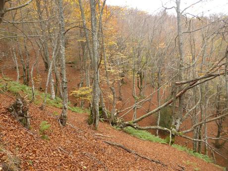 Pico Vildeu desde Pigüeces Pico Vildeu desde Pigüeces