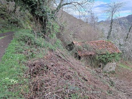 La Muela-Torones-Picu la Carba-El Castieḷḷu-Naveo