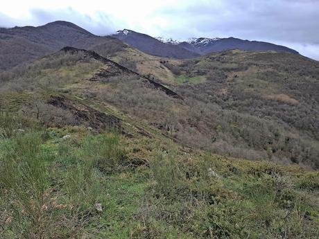La Muela-Torones-Picu la Carba-El Castieḷḷu-Naveo