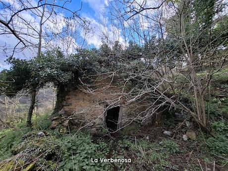 La Muela-Torones-Picu la Carba-El Castieḷḷu-Naveo