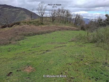 La Muela-Torones-Picu la Carba-El Castieḷḷu-Naveo