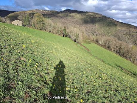 La Muela-Torones-Picu la Carba-El Castieḷḷu-Naveo