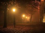 483. Cuando anochece