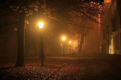 483. Cuando anochece