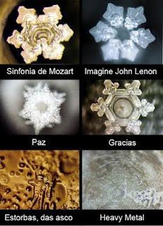 Masaru Emoto: la Intención (Conciencia) crea la Realidad