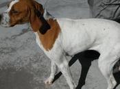 Fanta, entiende porque quieren