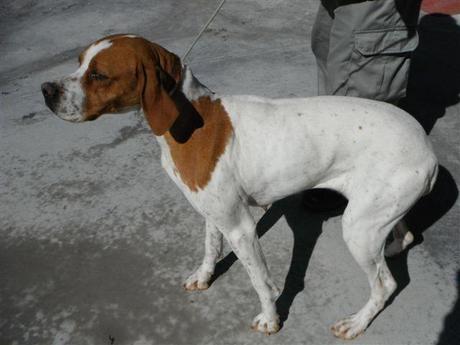 Fanta, no entiende porque no la quieren