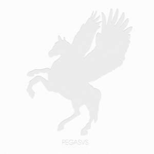 pegasvs pegasus Pegasvs – Pegasvs