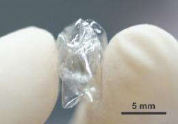 Actualidad Informática. Transistores de nanotubos de carbono transparantes y flexibles. Rafael Barzanallana