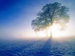 Liberarse de las viejas creencias