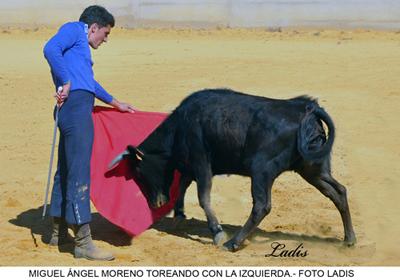 LA FIESTA DE LOS TOROS TIENE CANTERA