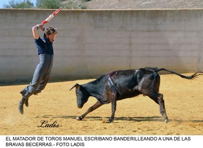 LA FIESTA DE LOS TOROS TIENE CANTERA