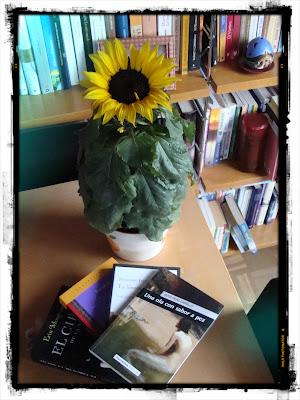 Nuevas lecturas y Redes Sociales