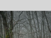 "Historias sugeridas" fotógrafa Angélica Suela Ultravioleta.